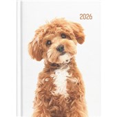 COLLINS DIARY A51 CATS AND DOGS DAY TO PAGE EVEN YEAR