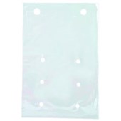 PUNCHED PLASTIC PRODUCE BAG 1KG W200 X H300MM PACK 250