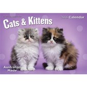 COLLINS ROSEBANK WALL CALENDAR W300 X L210MM CATS AND KITTENS EVEN YEAR