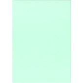 KASKAD COLOURED PAPER A4 225GSM LEAFBIRD GREEN PACK 12