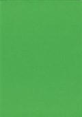 KASKAD COLOURED PAPER A4 160GSM WOODPECKER GREEN PACK 15