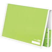 COLOURHIDE MY HANDY DOCUMENT BOX A4 GREEN