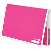 COLOURHIDE MY HANDY DOCUMENT BOX A4 PINK